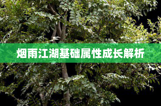 烟雨江湖基础属性成长解析 烟雨江湖基础属性成长解析