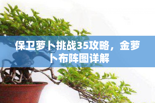 保卫萝卜挑战35攻略,金萝卜布阵图详解 保卫萝卜挑战35攻略,金萝卜布阵图详解