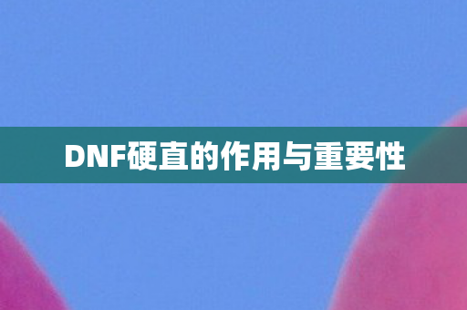 DNF硬直的作用与重要性 DNF硬直的作用与重要性
