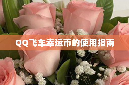 QQ飞车幸运币的使用指南