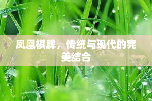 凤凰棋牌，传统与现代的完美结合