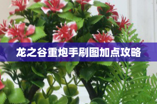 龙之谷重炮手刷图加点攻略 龙之谷重炮手刷图加点攻略
