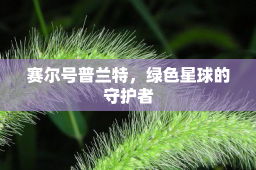 赛尔号普兰特,绿色星球的守护者 赛尔号普兰特,绿色星球的守护者