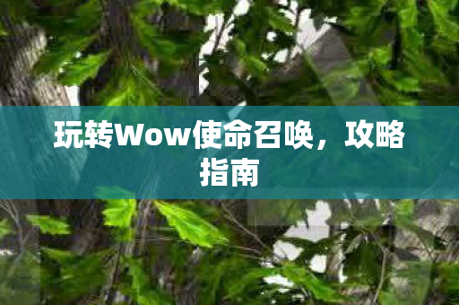 玩转Wow使命召唤,攻略指南 玩转Wow使命召唤,攻略指南