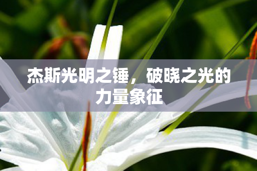 杰斯光明之锤,破晓之光的力量象征 杰斯光明之锤,破晓之光的力量象征