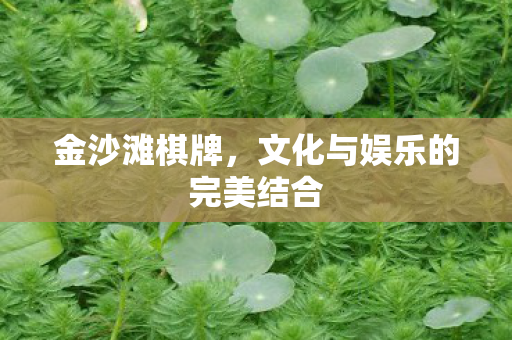 金沙滩棋牌,文化与娱乐的完美结合 金沙滩棋牌,文化与娱乐的完美结合