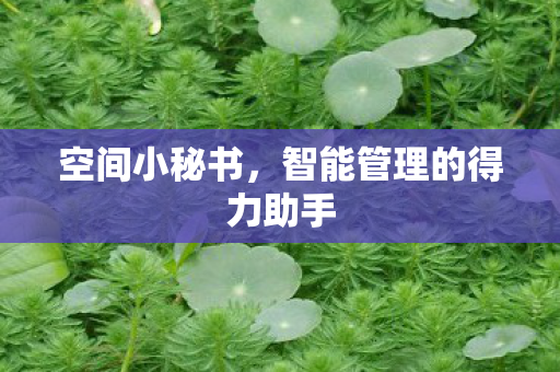 空间小秘书,智能管理的得力助手 空间小秘书,智能管理的得力助手