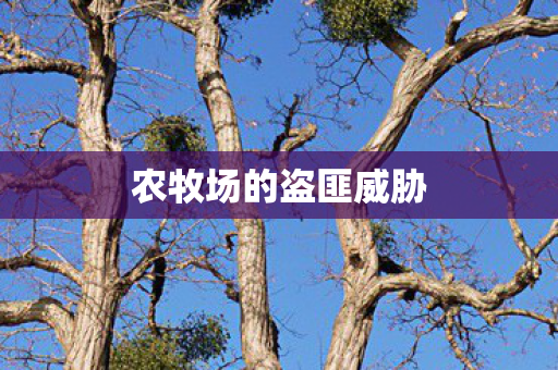 农牧场的盗匪威胁 农牧场的盗匪威胁