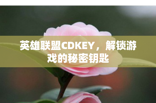 英雄联盟CDKEY，解锁游戏的秘密钥匙