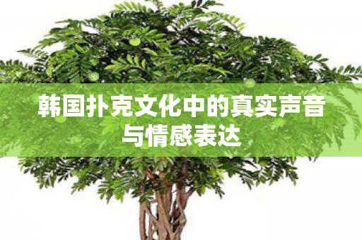 韩国扑克文化中的真实声音与情感表达