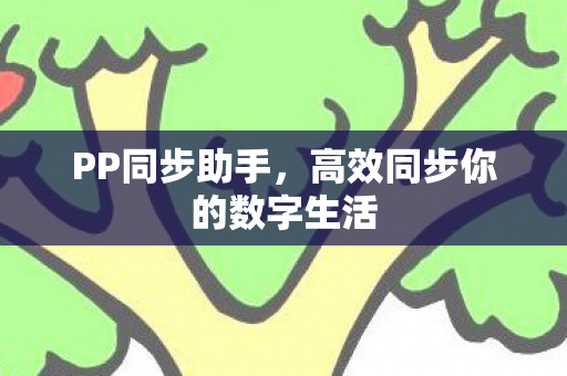PP同步助手，高效同步你的数字生活