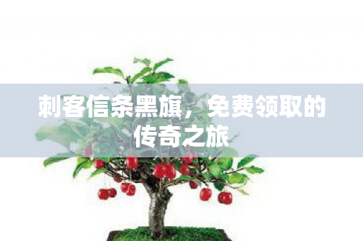 刺客信条黑旗,免费领取的传奇之旅 刺客信条黑旗,免费领取的传奇之旅
