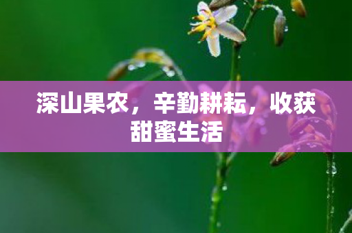 深山果农,辛勤耕耘,收获甜蜜生活 深山果农,辛勤耕耘,收获甜蜜生活