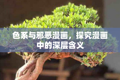 色系与邪恶漫画，探究漫画中的深层含义
