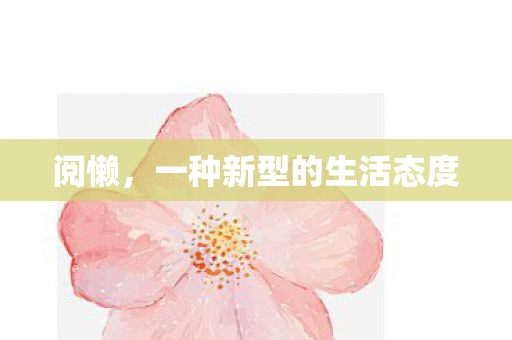 阅懒，一种新型的生活态度