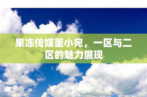 果冻传媒董小宛,一区与二区的魅力展现 果冻传媒董小宛,一区与二区的魅力展现