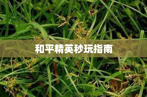 和平精英秒玩指南 和平精英秒玩指南