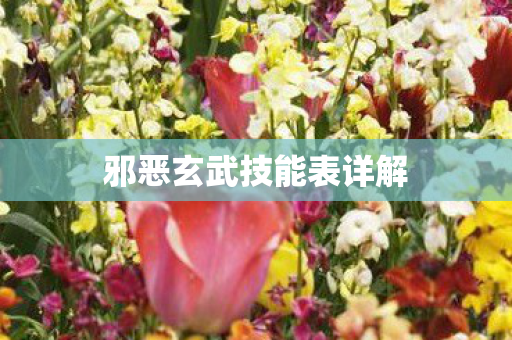 邪恶玄武技能表详解 邪恶玄武技能表详解