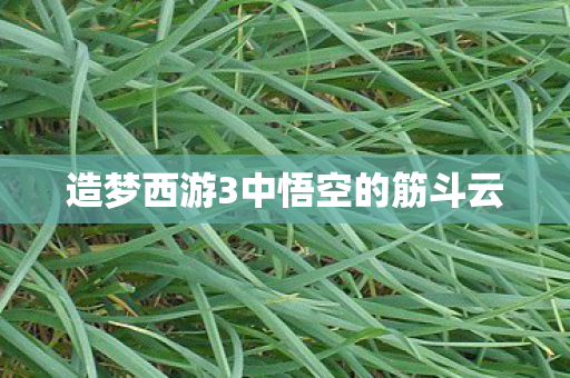 造梦西游3中悟空的筋斗云 造梦西游3中悟空的筋斗云