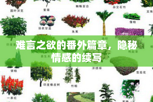 难言之欲的番外篇章,隐秘情感的续写 难言之欲的番外篇章,隐秘情感的续写