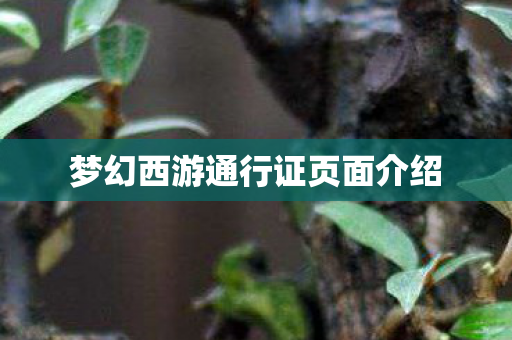 梦幻西游通行证页面介绍 梦幻西游通行证页面介绍
