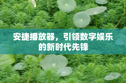 安捷播放器,引领数字娱乐的新时代先锋 安捷播放器,引领数字娱乐的新时代先锋