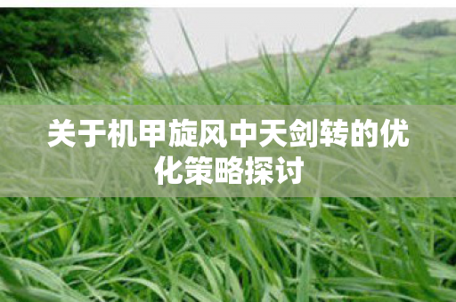 关于机甲旋风中天剑转的优化策略探讨 关于机甲旋风中天剑转的优化策略探讨