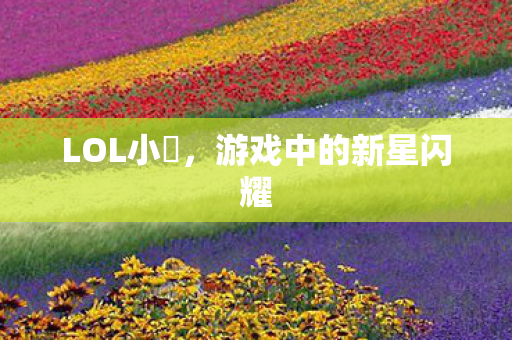 LOL小訫,游戏中的新星闪耀 LOL小訫,游戏中的新星闪耀