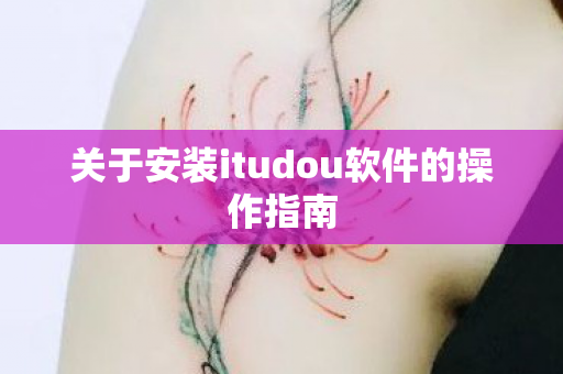 关于安装itudou软件的操作指南 关于安装itudou软件的操作指南