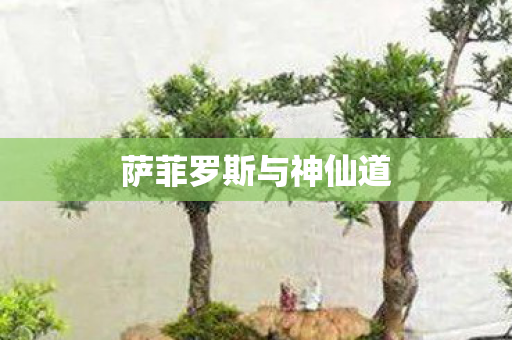 萨菲罗斯与神仙道