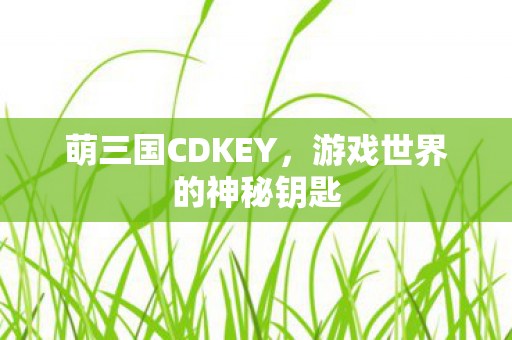 萌三国CDKEY，游戏世界的神秘钥匙