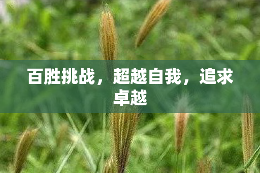 百胜挑战,超越自我,追求卓越 百胜挑战,超越自我,追求卓越