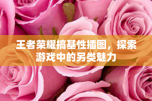 王者荣耀搞基性插图，探索游戏中的另类魅力
