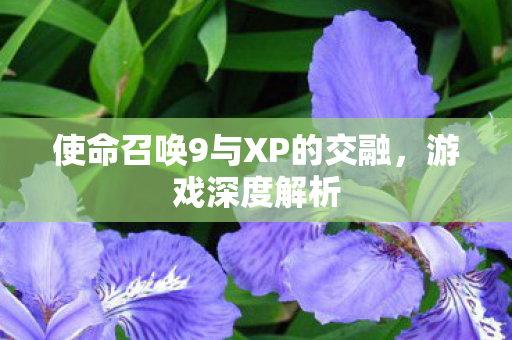 使命召唤9与XP的交融，游戏深度解析