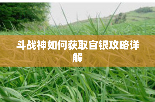 斗战神如何获取官银攻略详解 斗战神如何获取官银攻略详解