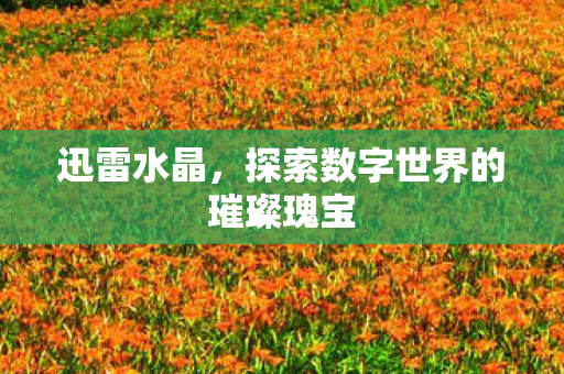 迅雷水晶，探索数字世界的璀璨瑰宝