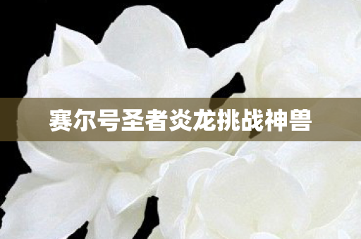 赛尔号圣者炎龙挑战神兽 赛尔号圣者炎龙挑战神兽