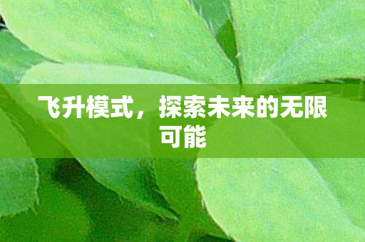 飞升模式,探索未来的无限可能 飞升模式,探索未来的无限可能