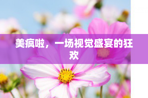 美疯啦,一场视觉盛宴的狂欢 美疯啦,一场视觉盛宴的狂欢