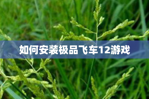 如何安装极品飞车12游戏 如何安装极品飞车12游戏