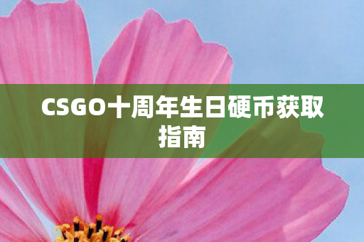 CSGO十周年生日硬币获取指南 CSGO十周年生日硬币获取指南