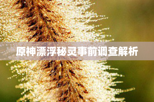 原神漂浮秘灵事前调查解析