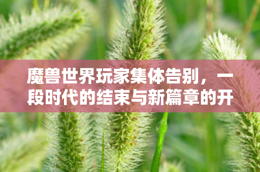 魔兽世界玩家集体告别，一段时代的结束与新篇章的开启