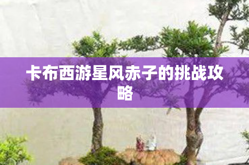 卡布西游星风赤子的挑战攻略 卡布西游星风赤子的挑战攻略