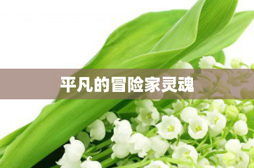 平凡的冒险家灵魂 平凡的冒险家灵魂