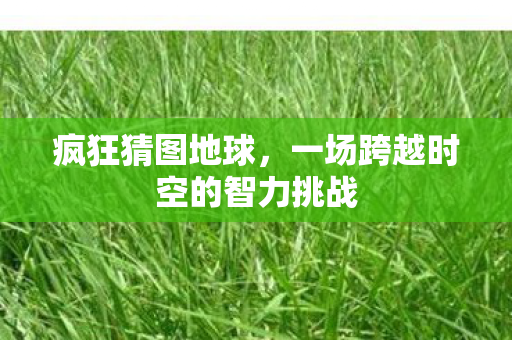 疯狂猜图地球,一场跨越时空的智力挑战 疯狂猜图地球,一场跨越时空的智力挑战