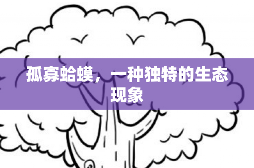 孤寡蛤蟆,一种独特的生态现象 孤寡蛤蟆,一种独特的生态现象