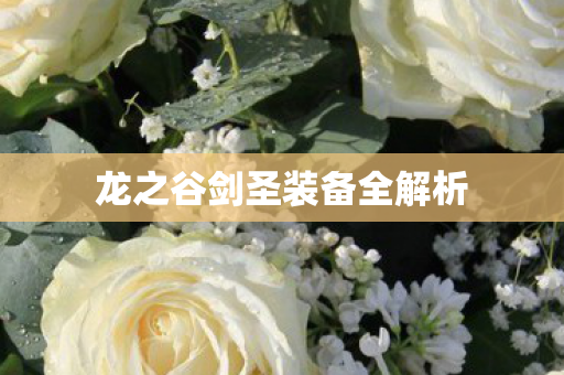 龙之谷剑圣装备全解析 龙之谷剑圣装备全解析