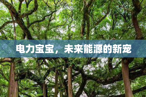 电力宝宝，未来能源的新宠