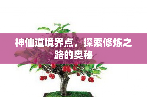 神仙道境界点,探索修炼之路的奥秘 神仙道境界点,探索修炼之路的奥秘